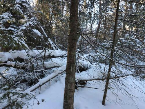 Lot 152 Plan M222, Minaki, ON 