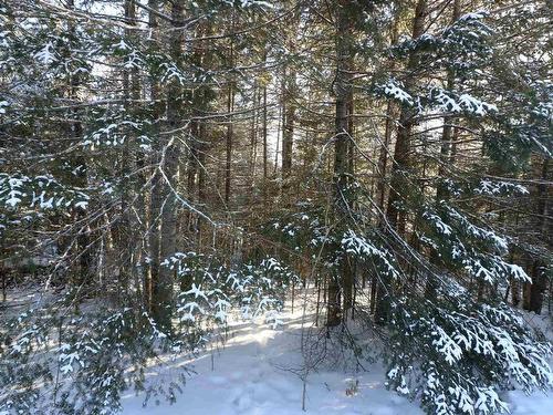 Lot 152 Plan M222, Minaki, ON 