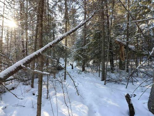 Lot 152 Plan M222, Minaki, ON 