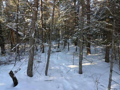 Lot 152 Plan M222, Minaki, ON 