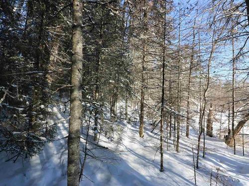 Lot 152 Plan M222, Minaki, ON 