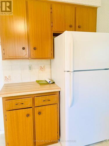 470 Franklin Street, Kitchener, ON - Indoor Photo Showing Kitchen