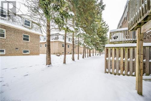 View of yard layered in snow - 212 Westcourt Place, Waterloo, ON - Outdoor