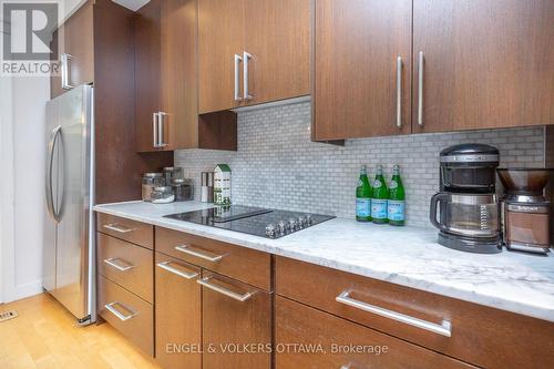 53 Vaughan Street, Ottawa, ON - Indoor Photo Showing Kitchen With Upgraded Kitchen