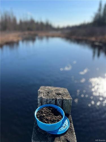 - Goat Brook, Lynnfield, NB 