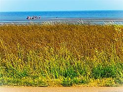 3 LAKESIDE LANE LANE  Cormierville, NB E4R 3E6