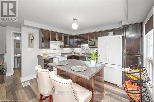 94 Rochefort Street, Kitchener, ON - Indoor Photo Showing Kitchen