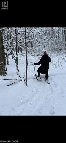 2 Joanne Crescent, Minto, ON - Outdoor With View