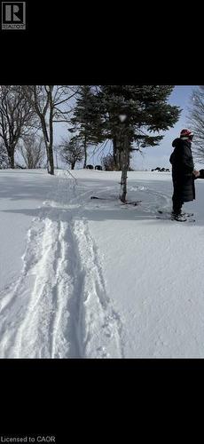 2 Joanne Crescent, Minto, ON - Outdoor With View