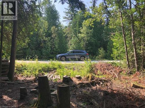 6 Dunn Street, Lion'S Head, ON 