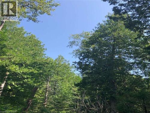 6 Dunn Street, Lion'S Head, ON 