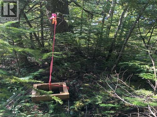 6 Dunn Street, Lion'S Head, ON 