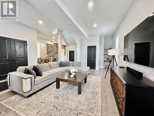 6 Elgin Street N, Cambridge, ON - Indoor Photo Showing Living Room