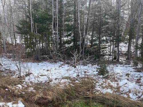 Kempt Head Road, Ross Ferry, NS 