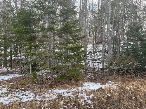 Kempt Head Road, Ross Ferry, NS 