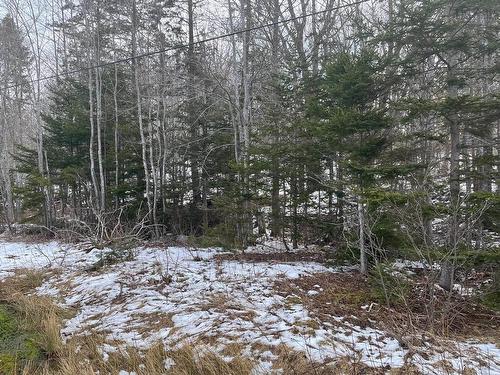 Kempt Head Road, Ross Ferry, NS 
