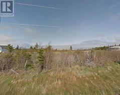 164 Main Road  Point Au Mal, NL A0N 1T0