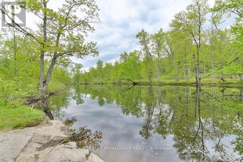 108773 Highway 7, Tweed (Elzevir (Twp)), ON 