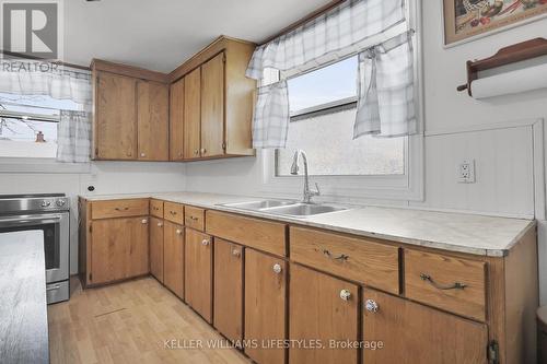 117 Brisbin Street, London, ON - Indoor Photo Showing Kitchen With Double Sink