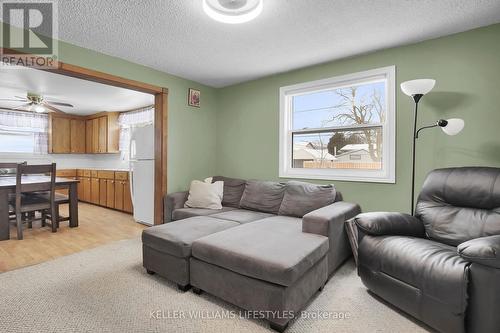 117 Brisbin Street, London, ON - Indoor Photo Showing Living Room