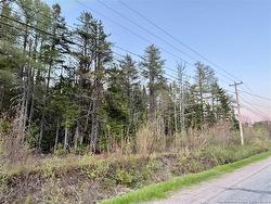 1 Acre Rte 455 Fairisle, NB E9G 2Y8
