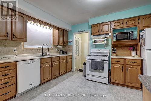 84 Amy Crescent, London, ON - Indoor Photo Showing Kitchen With Double Sink