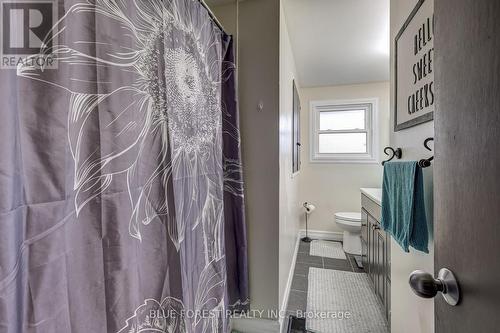 84 Amy Crescent, London, ON - Indoor Photo Showing Bathroom