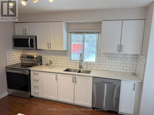 43 Rosamond Crescent, London, ON - Indoor Photo Showing Kitchen With Double Sink