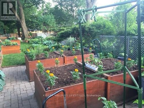 Planter boxes in backyard - 589 Victoria Street, London, ON - Outdoor With Deck Patio Veranda