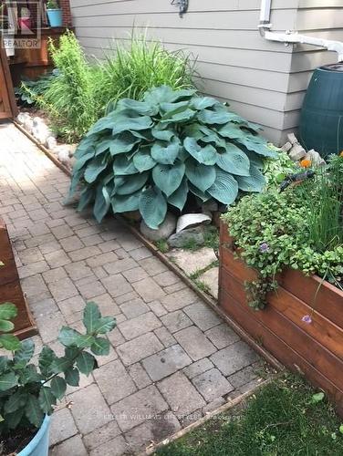 Planters and interlock sidewalk - 589 Victoria Street, London, ON - Outdoor