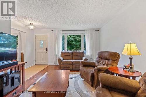 1055 Osgoode Drive, London, ON - Indoor Photo Showing Living Room