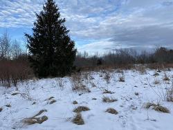 Lot 234 Wellington Street  Pictou, NS B0K 1H0