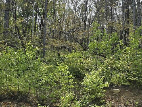 Lot 4 Nathan Croft Road, Camperdown, NS 