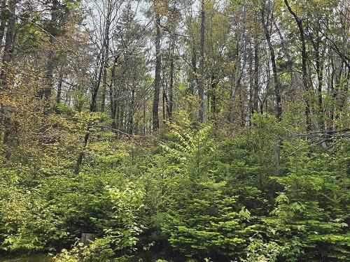 Lot 4 Nathan Croft Road, Camperdown, NS 