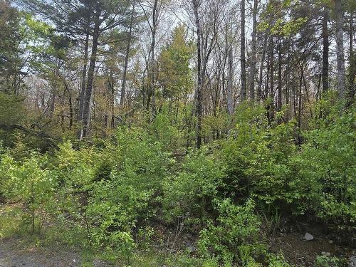 Lot 4 Nathan Croft Road, Camperdown, NS 