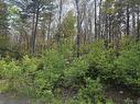 Lot 4 Nathan Croft Road, Camperdown, NS 