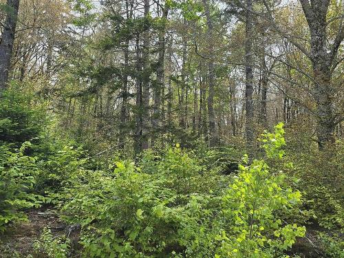 Lot 4 Nathan Croft Road, Camperdown, NS 