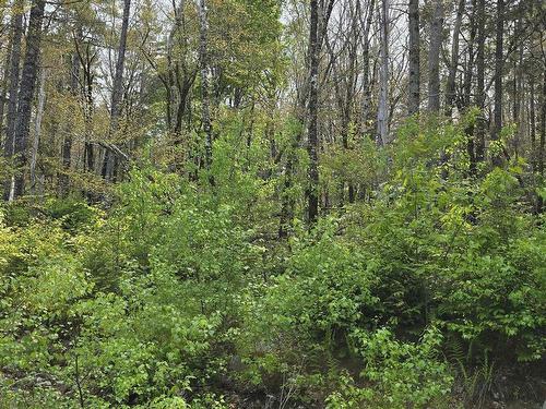 Lot 4 Nathan Croft Road, Camperdown, NS 