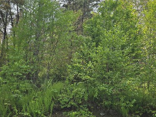 Lot 4 Nathan Croft Road, Camperdown, NS 