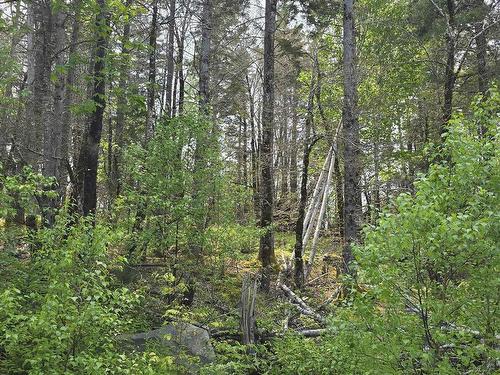 Lot 2 Nathan Croft Road, Camperdown, NS 