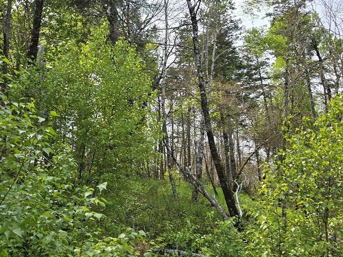 Lot 2 Nathan Croft Road, Camperdown, NS 