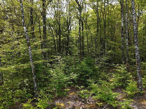 Lot 2 Nathan Croft Road, Camperdown, NS 