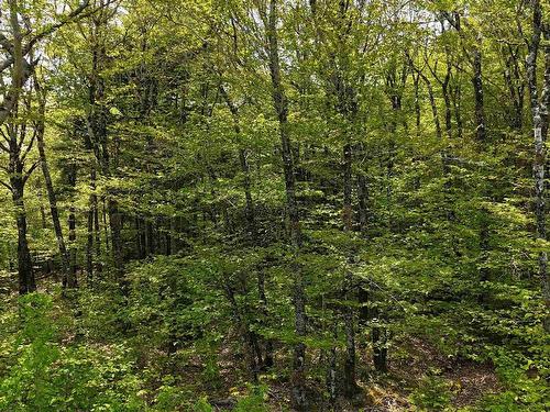 Lot 2 Nathan Croft Road, Camperdown, NS 