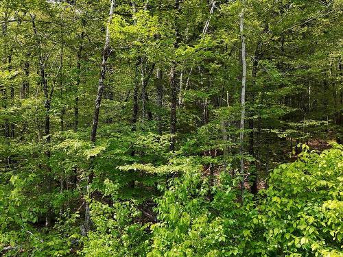 Lot 2 Nathan Croft Road, Camperdown, NS 