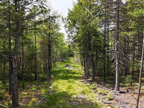 Lot 2 Nathan Croft Road, Camperdown, NS 