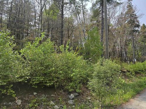 Lot 2 Nathan Croft Road, Camperdown, NS 