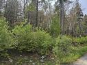 Lot 2 Nathan Croft Road, Camperdown, NS 