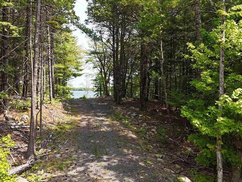 Lot 2 Nathan Croft Road, Camperdown, NS 