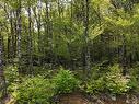 Lot 2 Nathan Croft Road, Camperdown, NS 