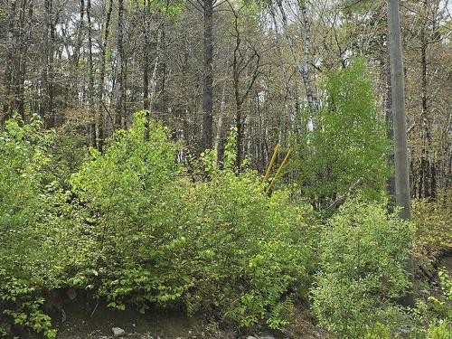 Lot 2 Nathan Croft Road, Camperdown, NS 